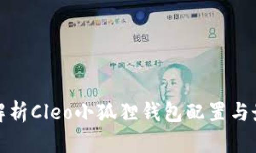 : 全面解析Cleo小狐狸钱包配置与最佳实践