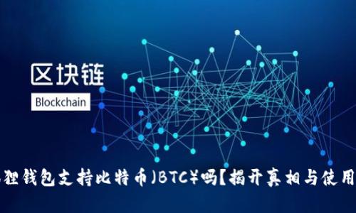 小狐狸钱包支持比特币(BTC)吗?揭开真相与使用指南