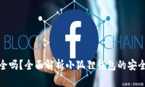 小狐狸钱包安全吗?全面解析小狐狸钱包的安全性与用户体验