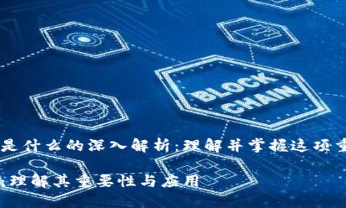 区块链里面PB是什么的深入解析:理解并掌握这项重要技术的核心
区块链中的PB:理解其重要性与应用