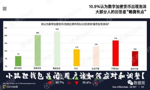 小狐狸钱包关闭:用户该如何应对和调整?