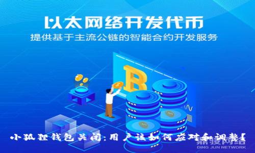 小狐狸钱包关闭:用户该如何应对和调整?