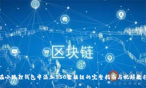 在小狐狸钱包中添加BSC智能链的完整指南与视频教程