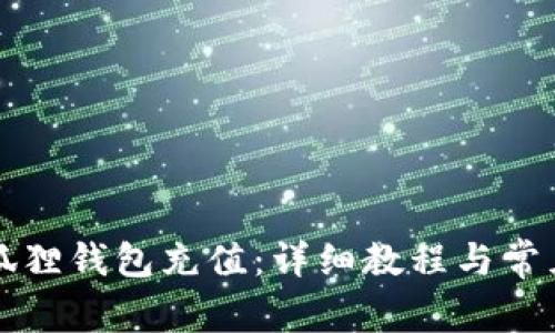 如何给小狐狸钱包充值：详细教程与常见问题解析