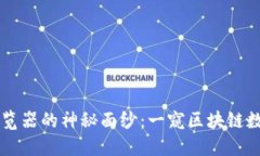 揭开区块链浏览器的神秘面纱：一窥区块链数据