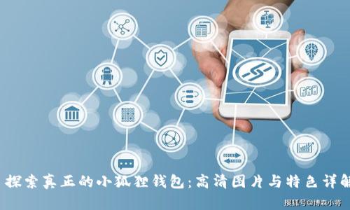 探索真正的小狐狸钱包:高清图片与特色详解