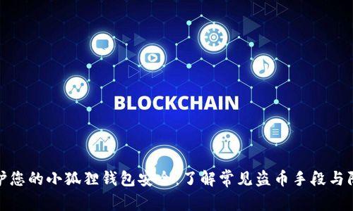 如何保护您的小狐狸钱包安全：了解常见盗币手段与防护策略