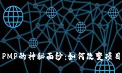 揭开区块链PMP的神秘面纱：如何改变项目管理的