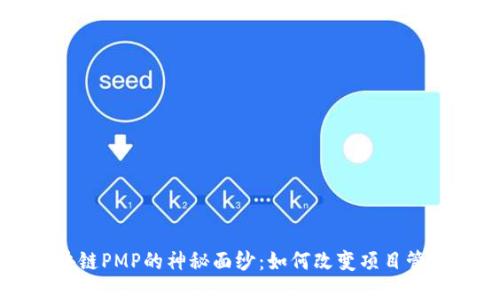 揭开区块链PMP的神秘面纱:如何改变项目管理的未来