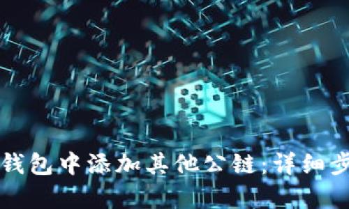 如何在小狐狸钱包中添加其他公链:详细步骤与全面解析