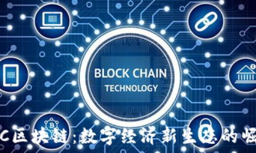 SHC区块链:数字经济新生态的崛起