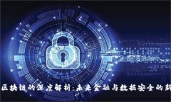 比特区块链的深度解析：未来金融与数据安全的