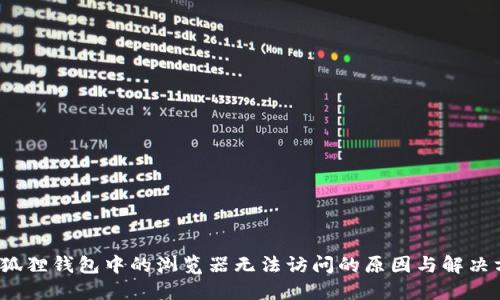 小狐狸钱包中的浏览器无法访问的原因与解决方案