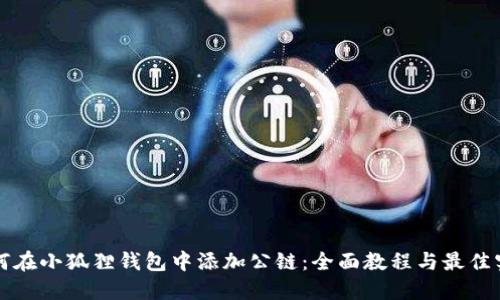 如何在小狐狸钱包中添加公链:全面教程与最佳实践