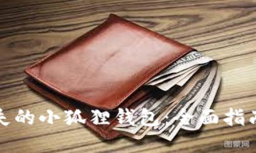 如何找回丢失的小狐狸钱包:全面指南与实用技巧