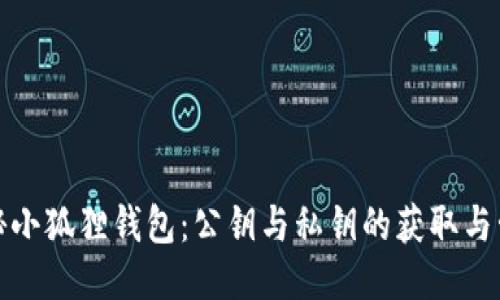 探秘小狐狸钱包:公钥与私钥的获取与管理