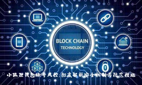 小狐狸钱包账号风控:彻底解析安全机制与防范措施