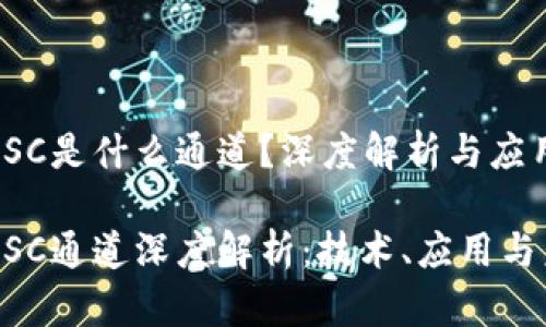区块链HSC是什么通道?深度解析与应用前景
区块链HSC通道深度解析:技术、应用与未来展望