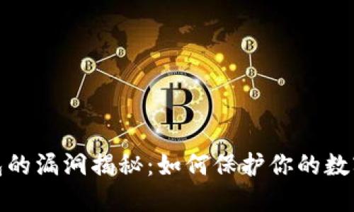 小狐狸钱包的漏洞揭秘:如何保护你的数字资产安全