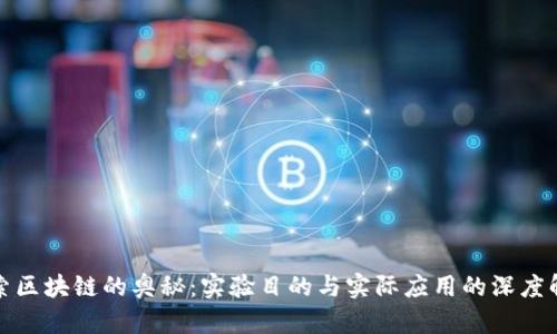 探索区块链的奥秘:实验目的与实际应用的深度解析