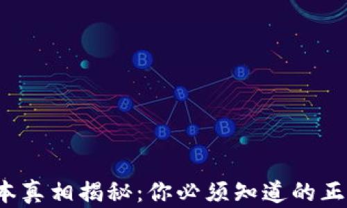 小狐狸钱包2.3版本真相揭秘:你必须知道的正版与伪造辨识技巧