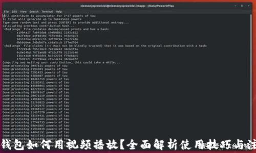 小狐狸钱包如何用视频播放?全面解析使用技巧与注意事项