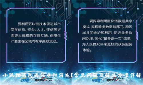 小狐狸钱包为何币种消失?常见问题及解决方案详解